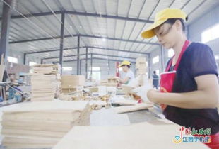 安福 大力發(fā)展產業(yè)扶貧