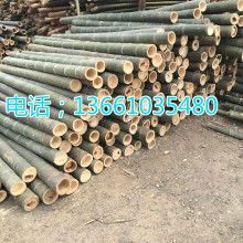  安吉縣鼎豐竹木工藝制品廠 主營(yíng) 竹竿 竹籬笆 竹涼亭